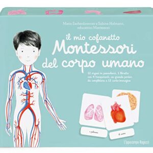 Il Mio Cofanetto Montessori Del Corpo Umano Italiano Copertina Flessibile 7 Nov 2018 0.jpg